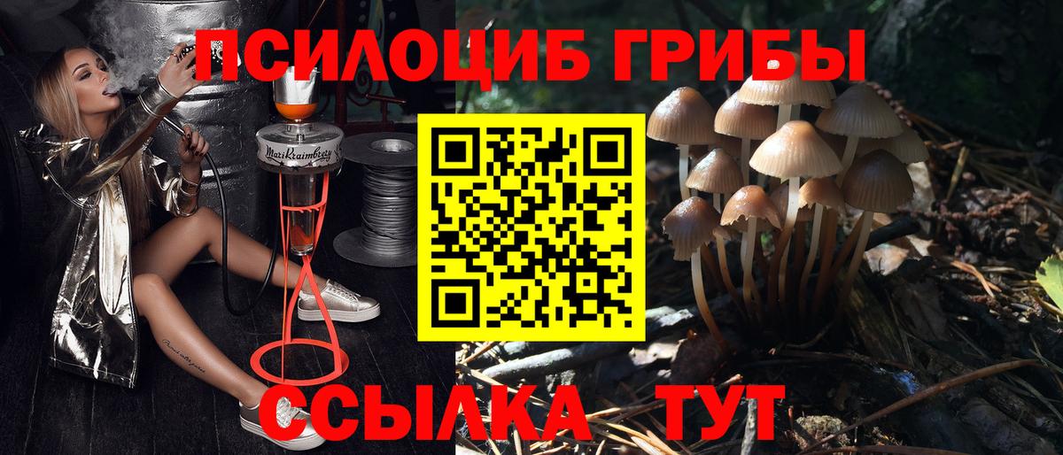 Псилоцибиновые грибы Psilocybe  Вход с VPN  закладка  Каменск-Шахтинский 