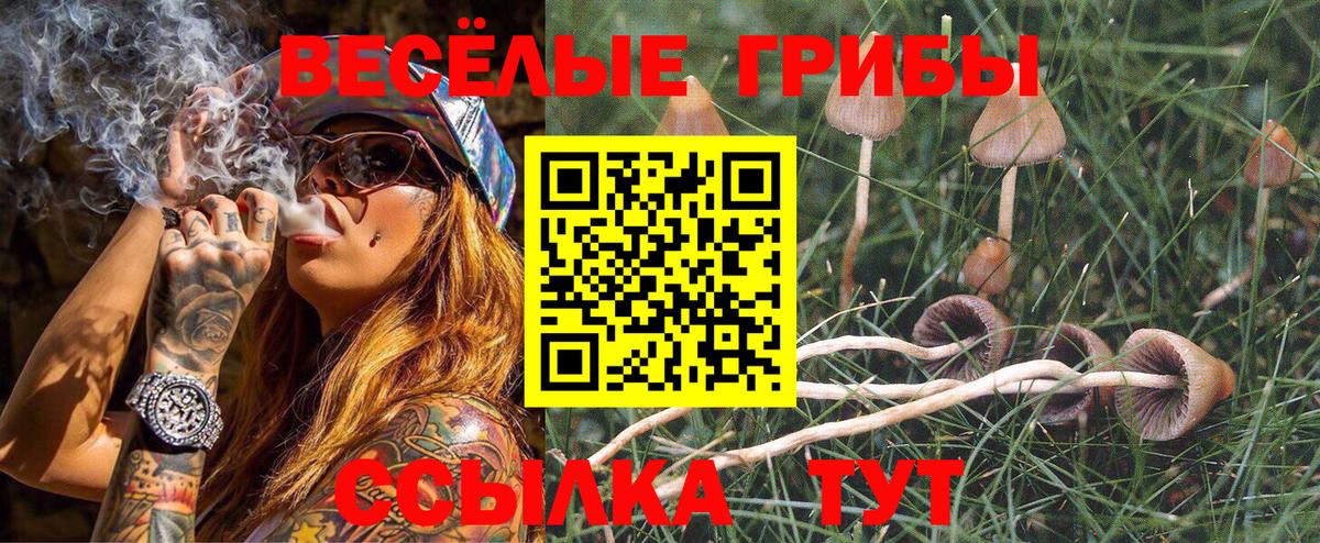 Галлюциногенные грибы MAGIC MUSHROOMS Каменск-Шахтинский